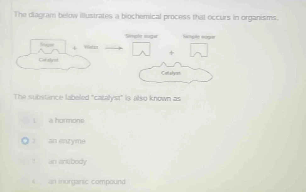 the diagram below illustrates a biochemical process that occurs in orga…