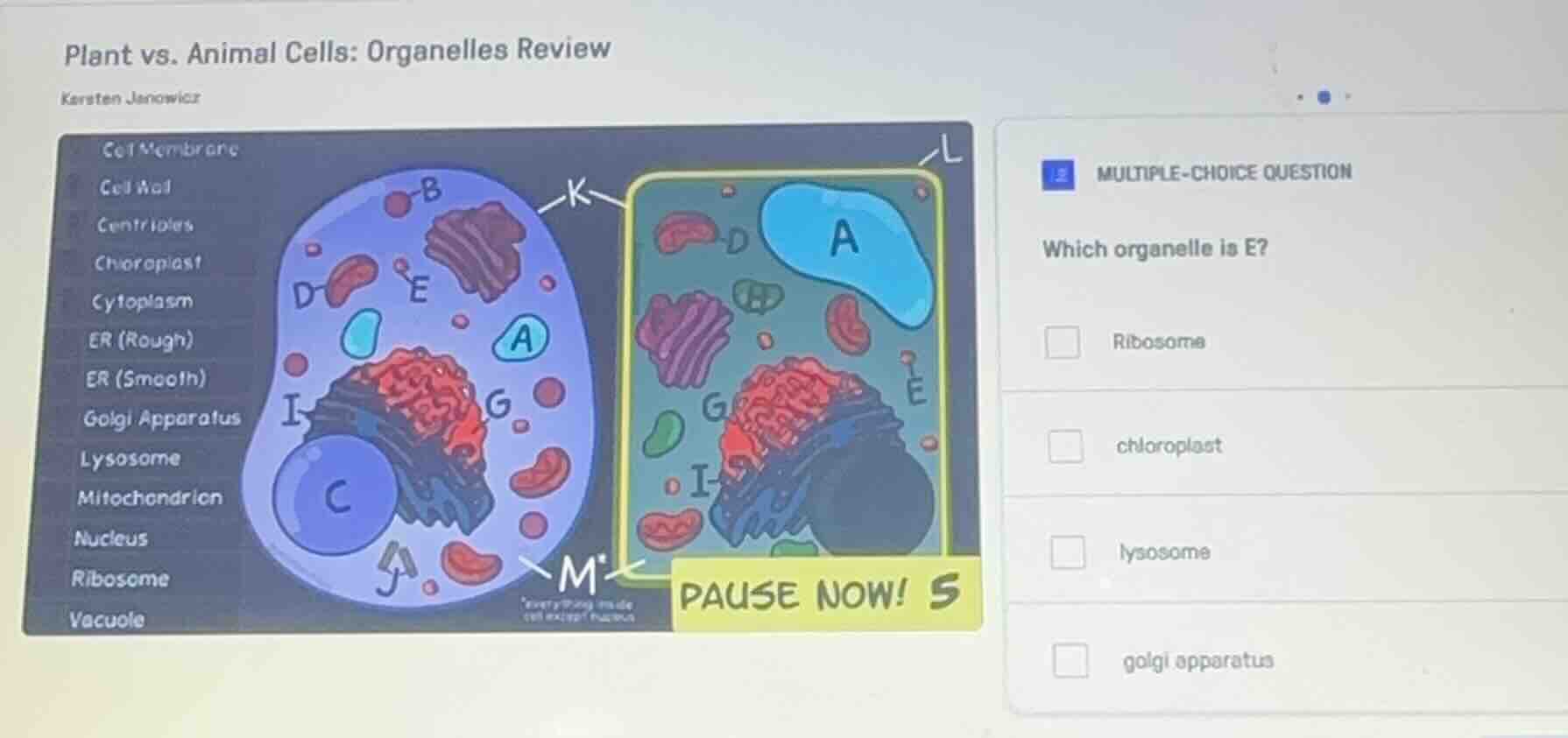 plant vs. animal cells: organelles review karsten janowicz multiple-cho…