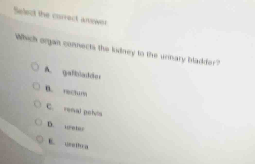 select the correct answer which organ connects the kidney to the urinar…