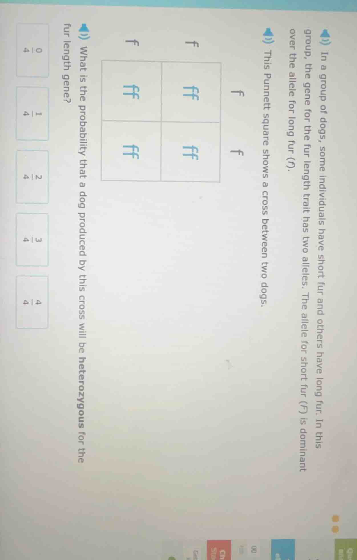 in a group of dogs, some individuals have short fur and others have lon…