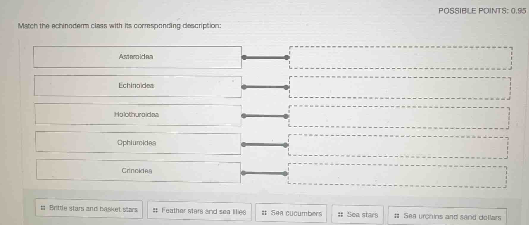 match the echinoderm class with its corresponding description: asteroid…