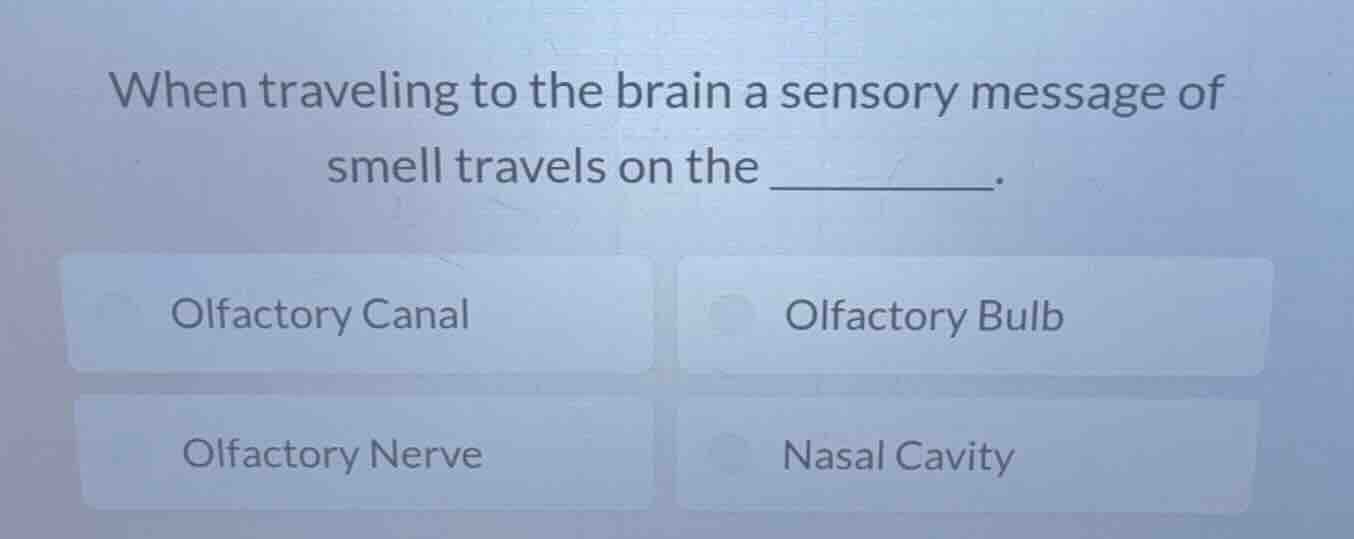 when traveling to the brain a sensory message of smell travels on the _…