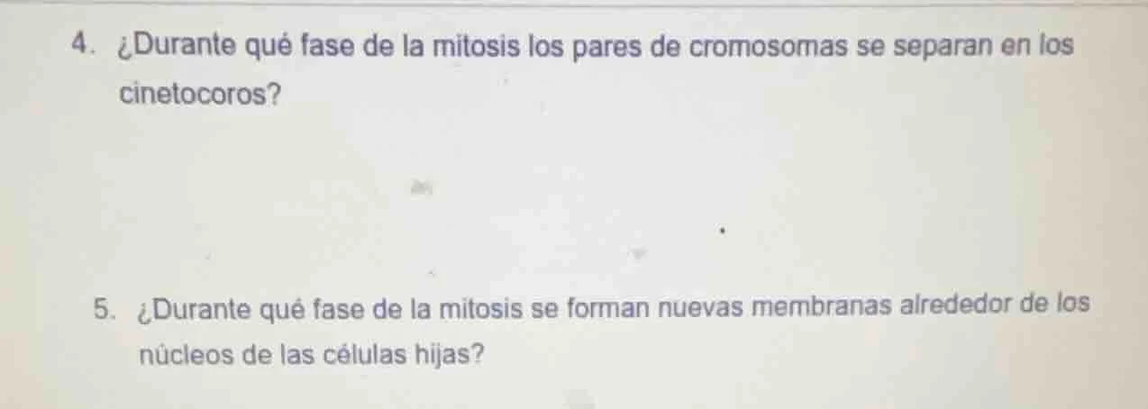 4. ¿durante qué fase de la mitosis los pares de cromosomas se separan e…