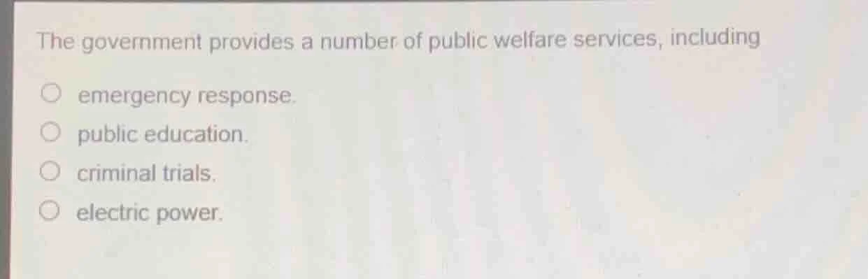 the government provides a number of public welfare services, including …