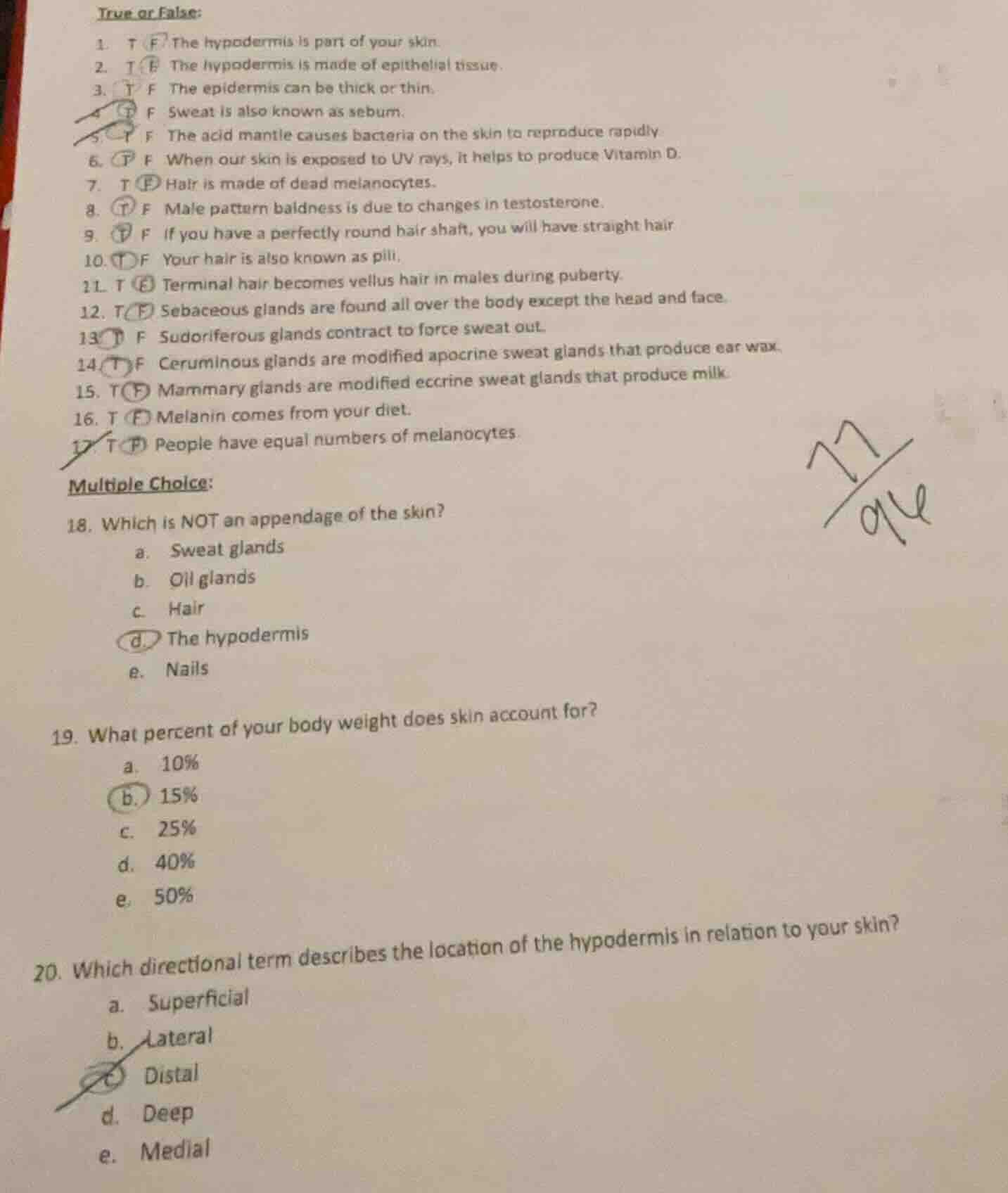 true or false: 1. t f the hypodermis is part of your skin. 2. t f the h…