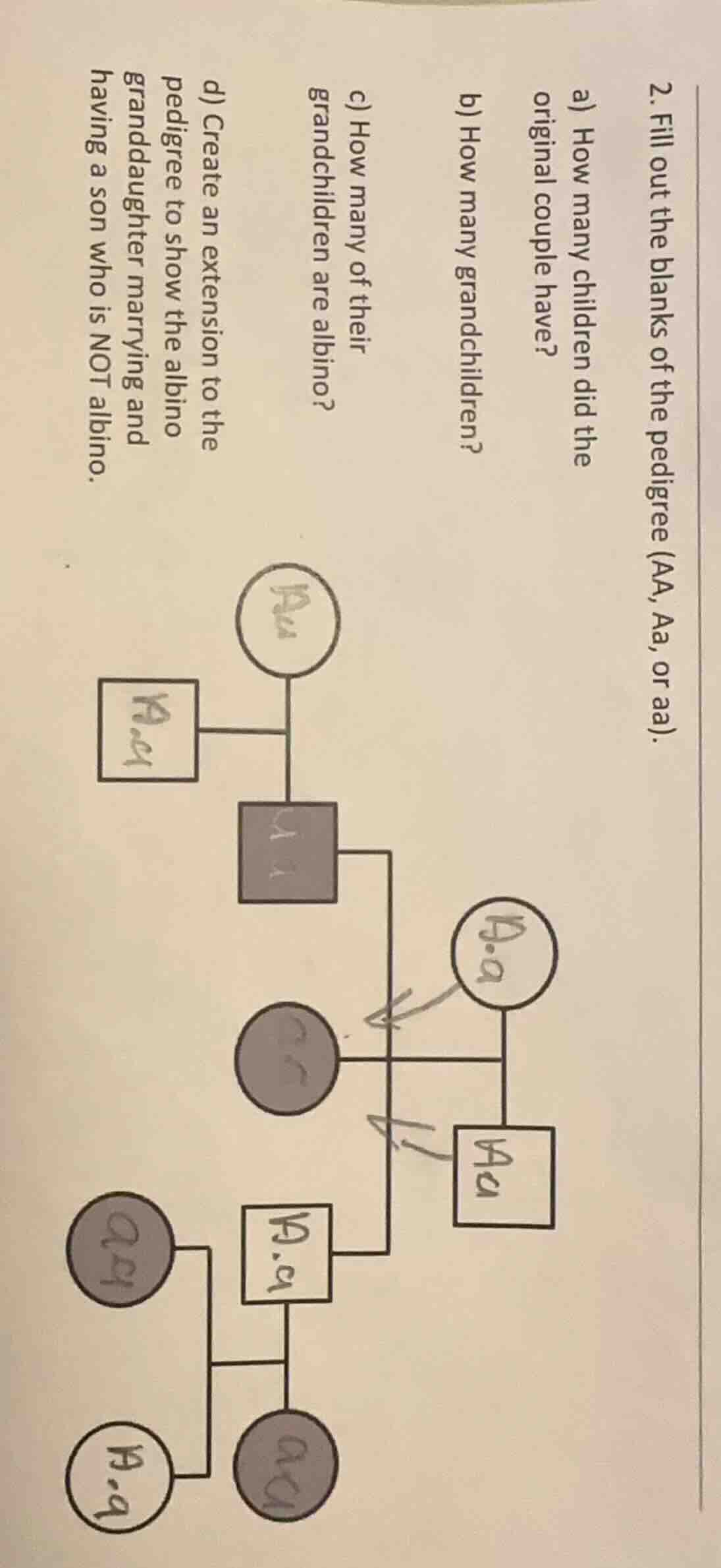 2. fill out the blanks of the pedigree (aa, aa, or aa). a) how many chi…