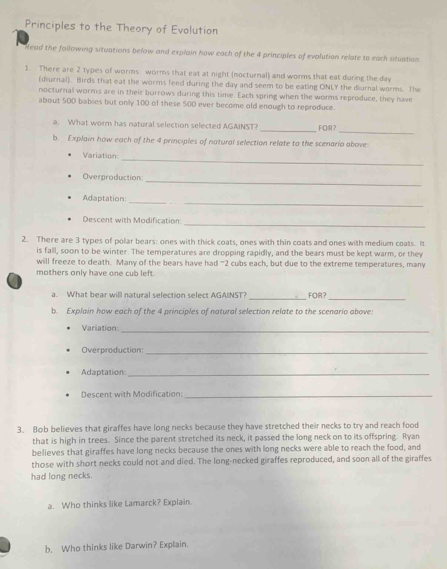 principles to the theory of evolution read the following situations bel…