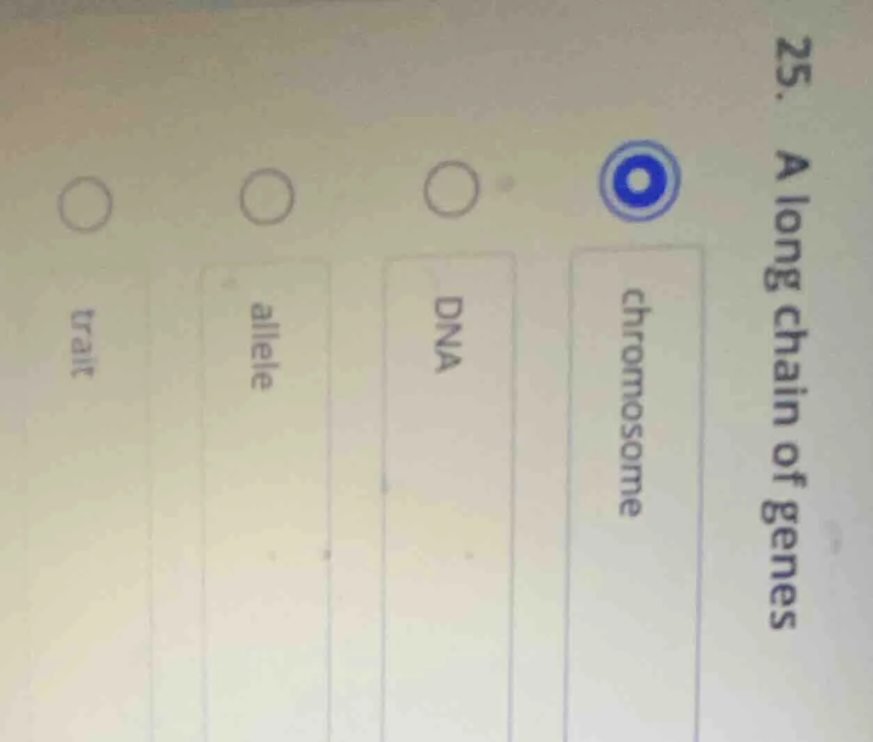 25. a long chain of genes chromosome dna allele trait