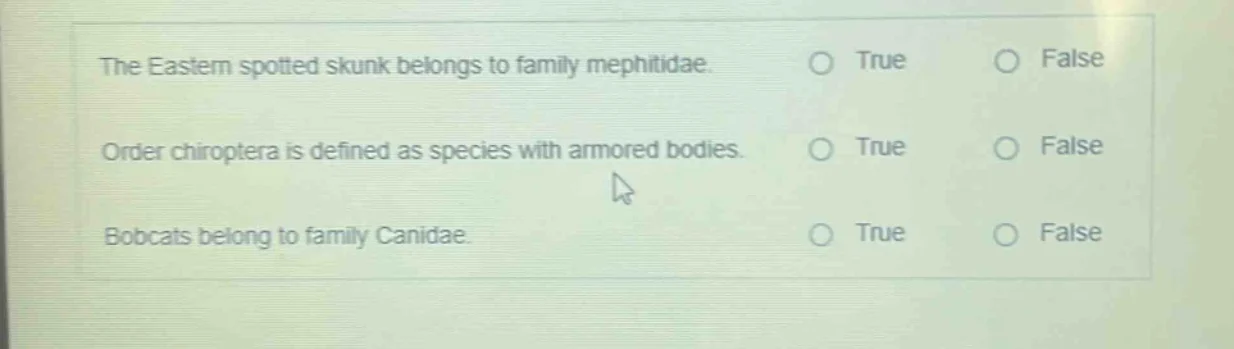 the eastern spotted skunk belongs to family mephitidae. true false orde…