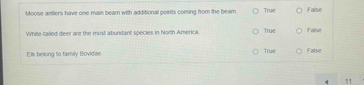 moose antlers have one main beam with additional points coming from the…