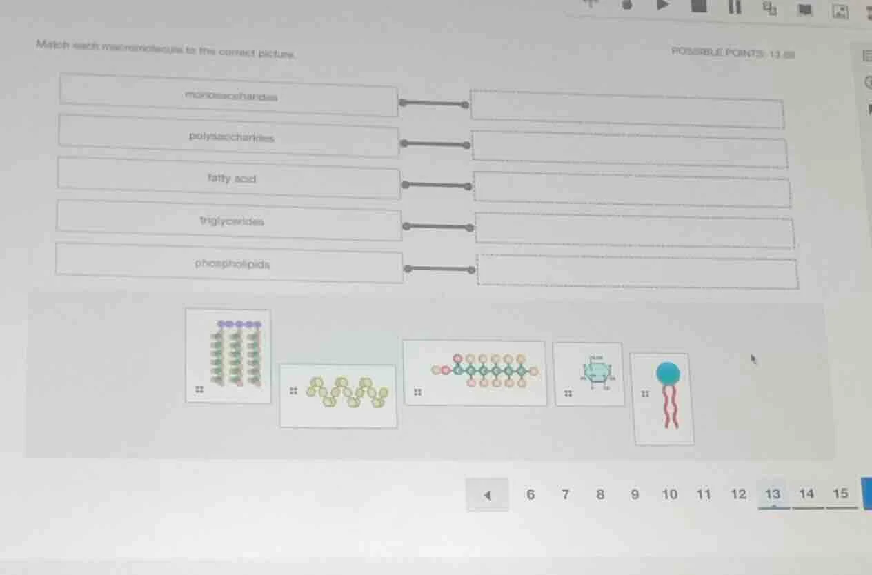match each macromolecule to the correct picture. monosaccharides polysa…