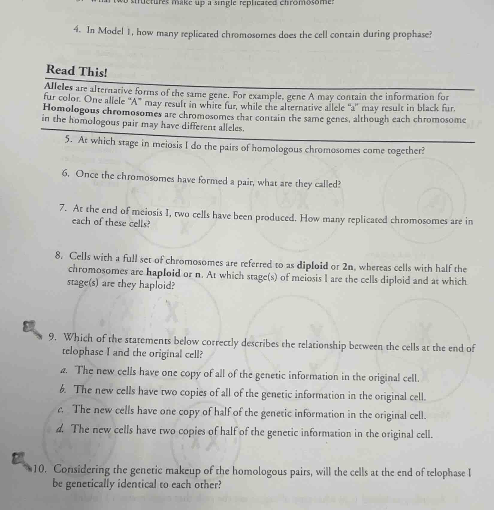 3. what two structures make up a single replicated chromosome? 4. in mo…