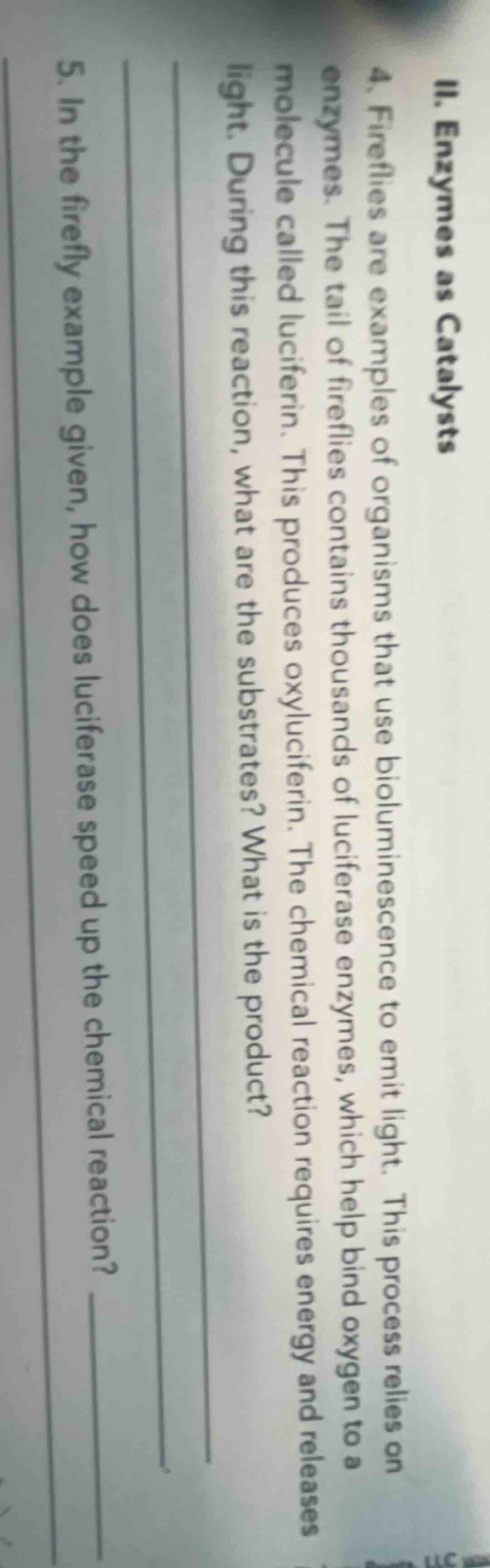 ii. enzymes as catalysts 4. fireflies are examples of organisms that us…