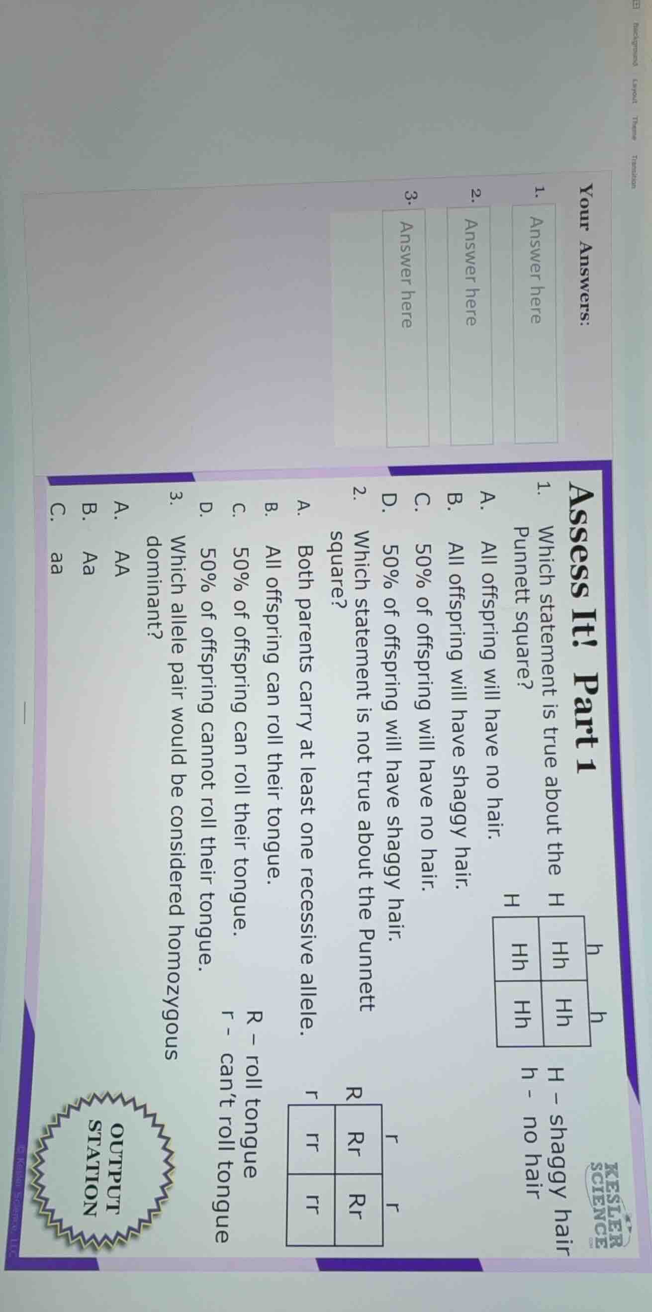 assess it! part 1 1. which statement is true about the punnett square? …