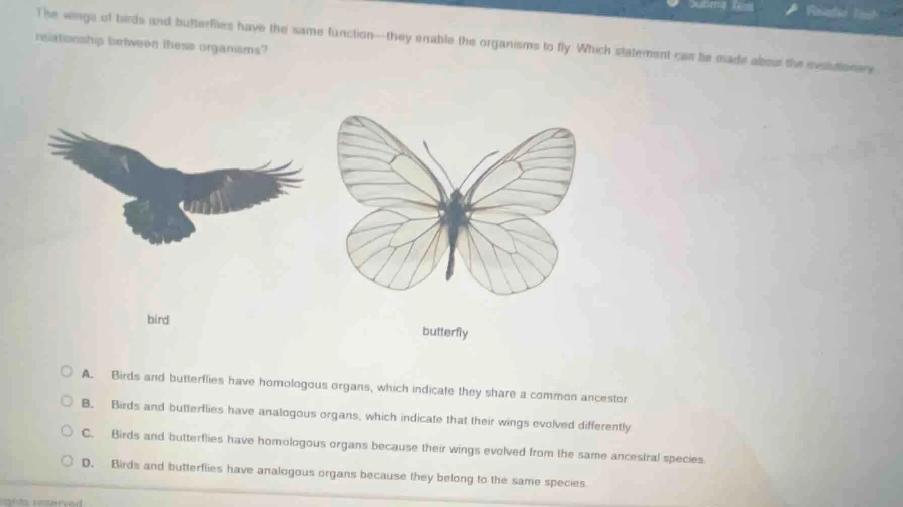 the wings of birds and butterflies have the same function—they enable t…