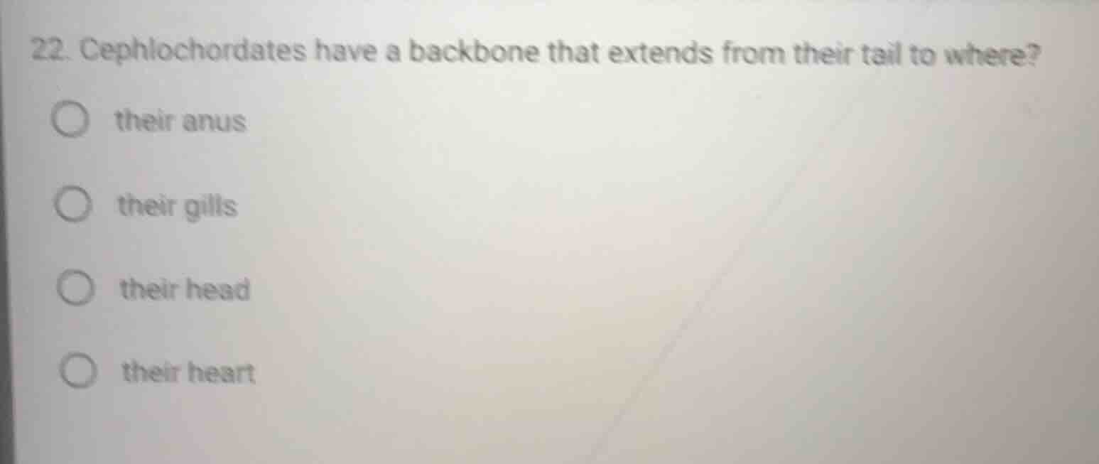 22. cephalochordates have a backbone that extends from their tail to wh…