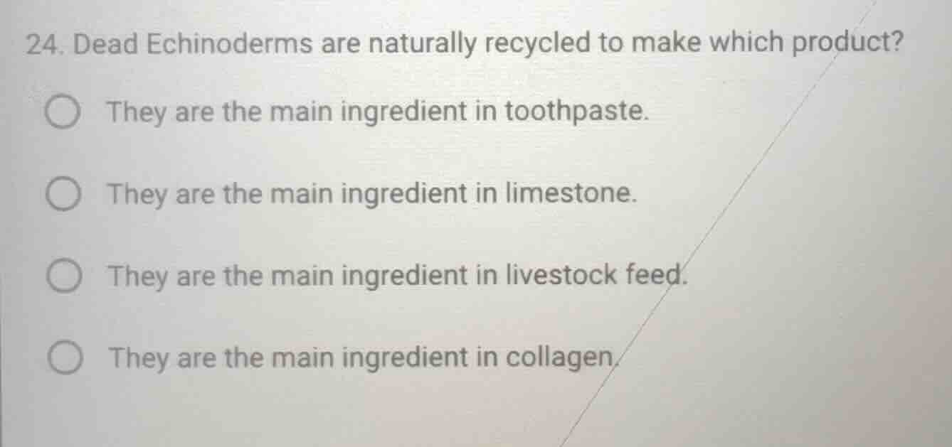 24. dead echinoderms are naturally recycled to make which product? ○ th…