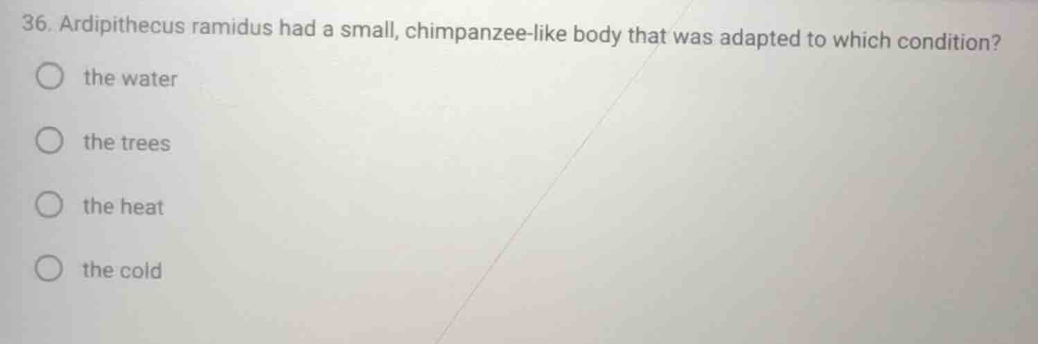 36. ardipithecus ramidus had a small, chimpanzee - like body that was a…