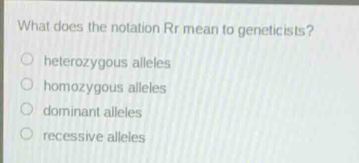 what does the notation rr mean to geneticists? ○ heterozygous alleles ○…