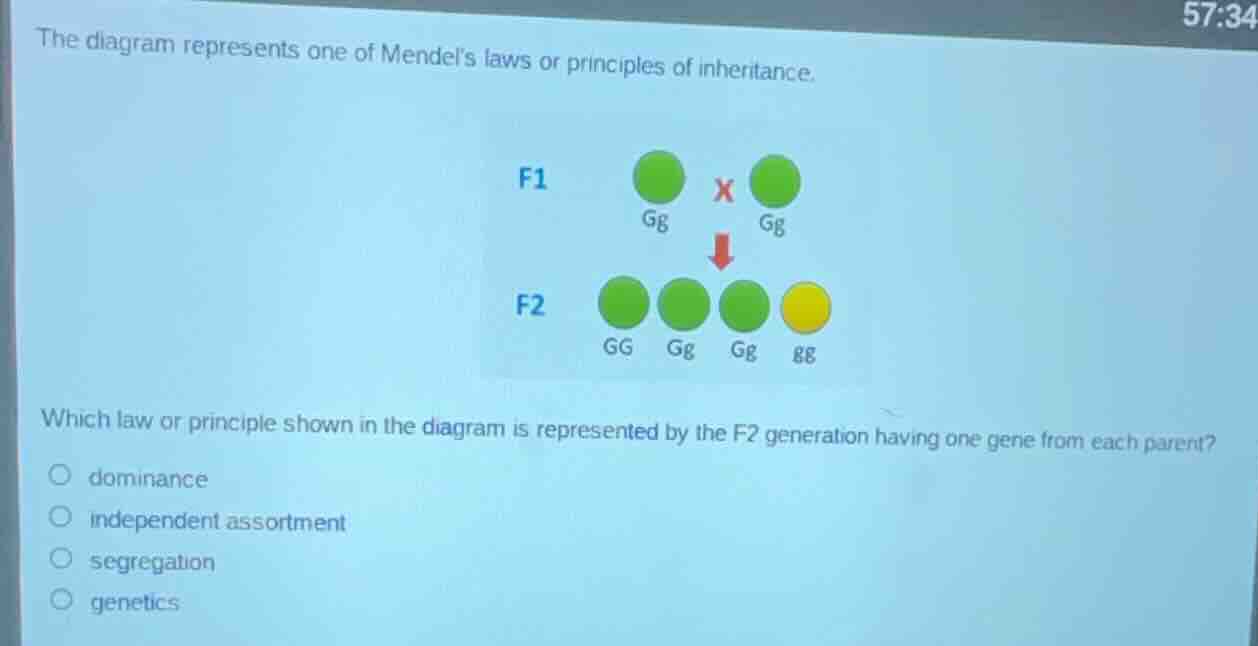the diagram represents one of mendels laws or principles of inheritance…