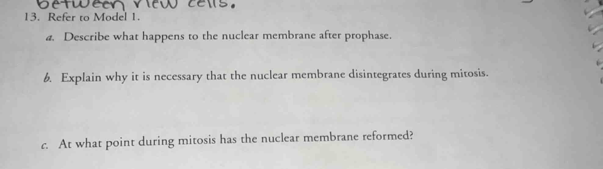 13. refer to model 1. a. describe what happens to the nuclear membrane …