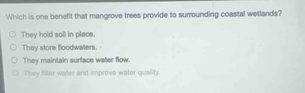 which is one benefit that mangrove trees provide to surrounding coastal…