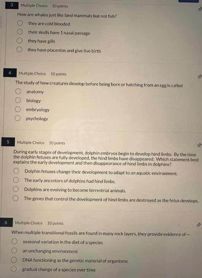 3 multiple choice 10 points how are whales just like land mammals but n…
