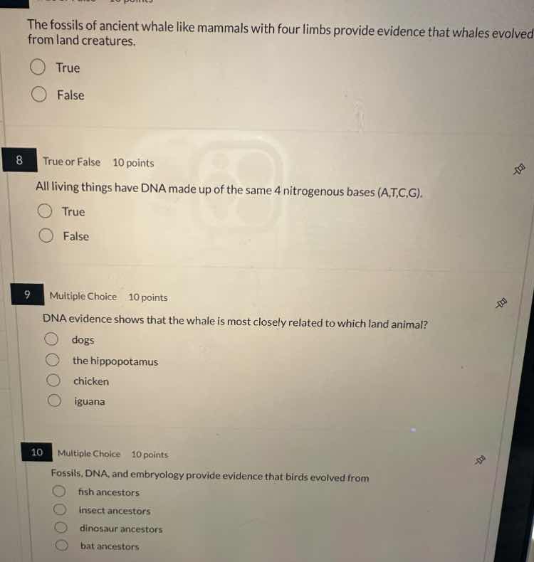 the fossils of ancient whale like mammals with four limbs provide evide…