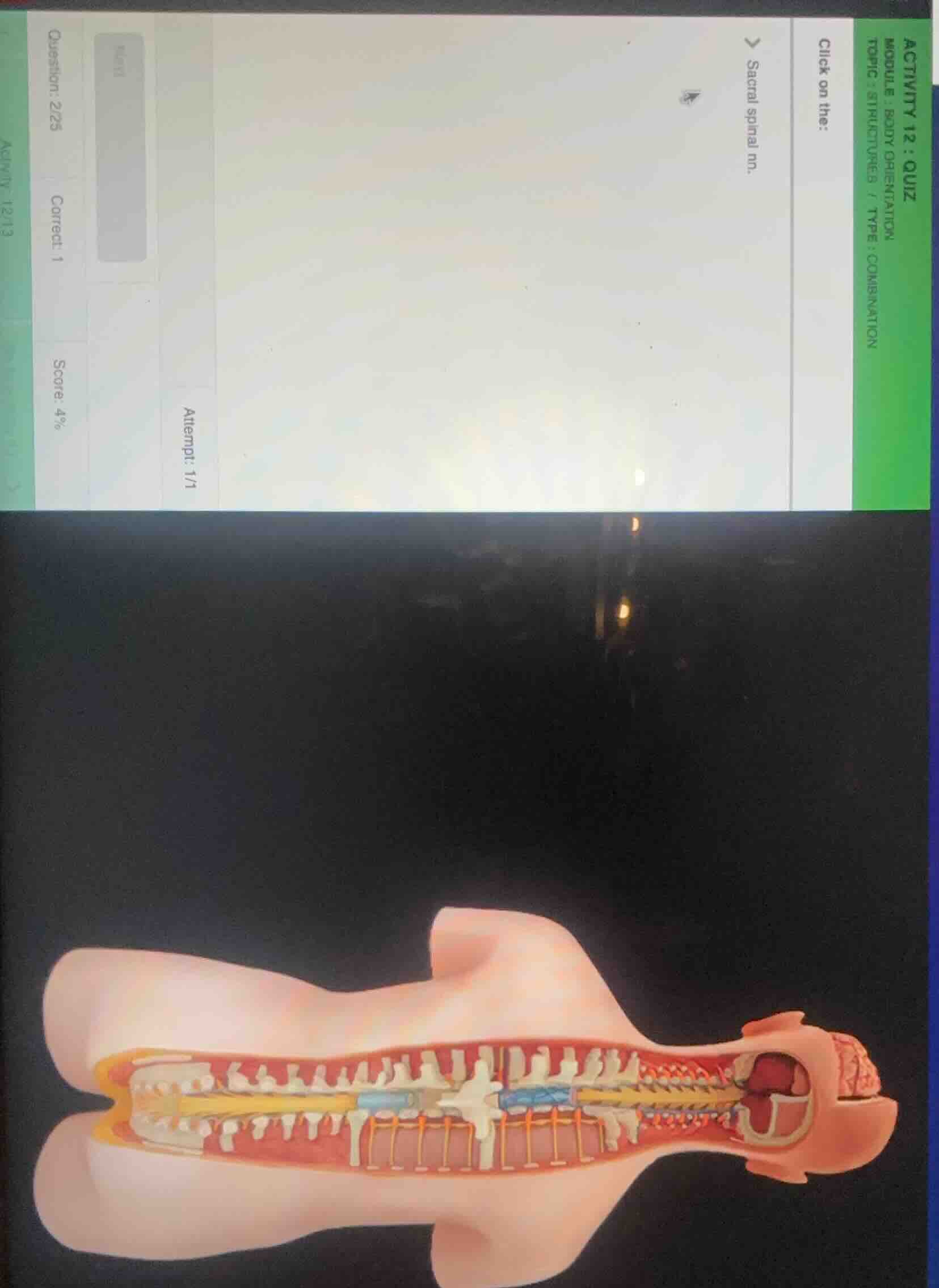 activity 12 : quiz module : body orientation topic : structures / type …