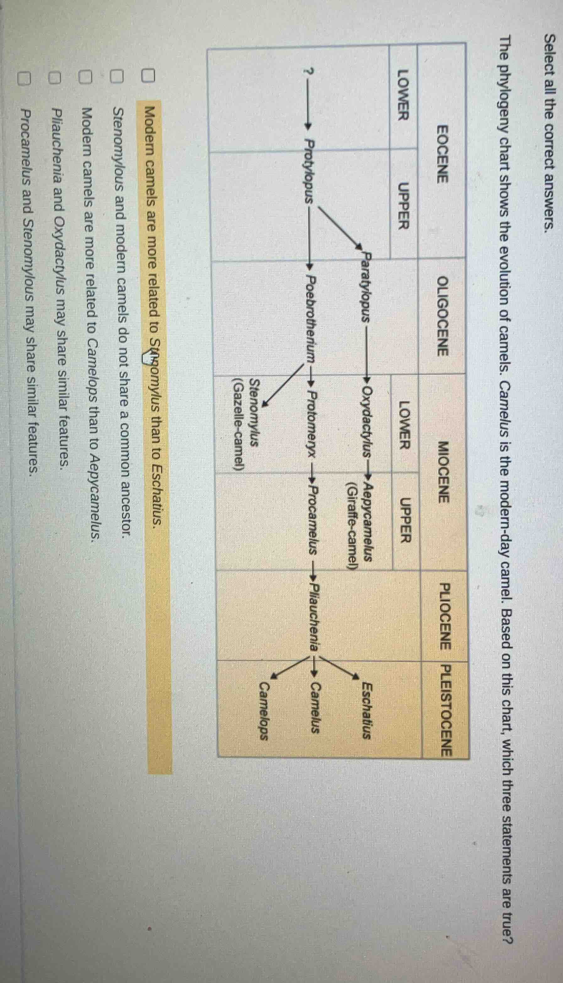 select all the correct answers. the phylogeny chart shows the evolution…
