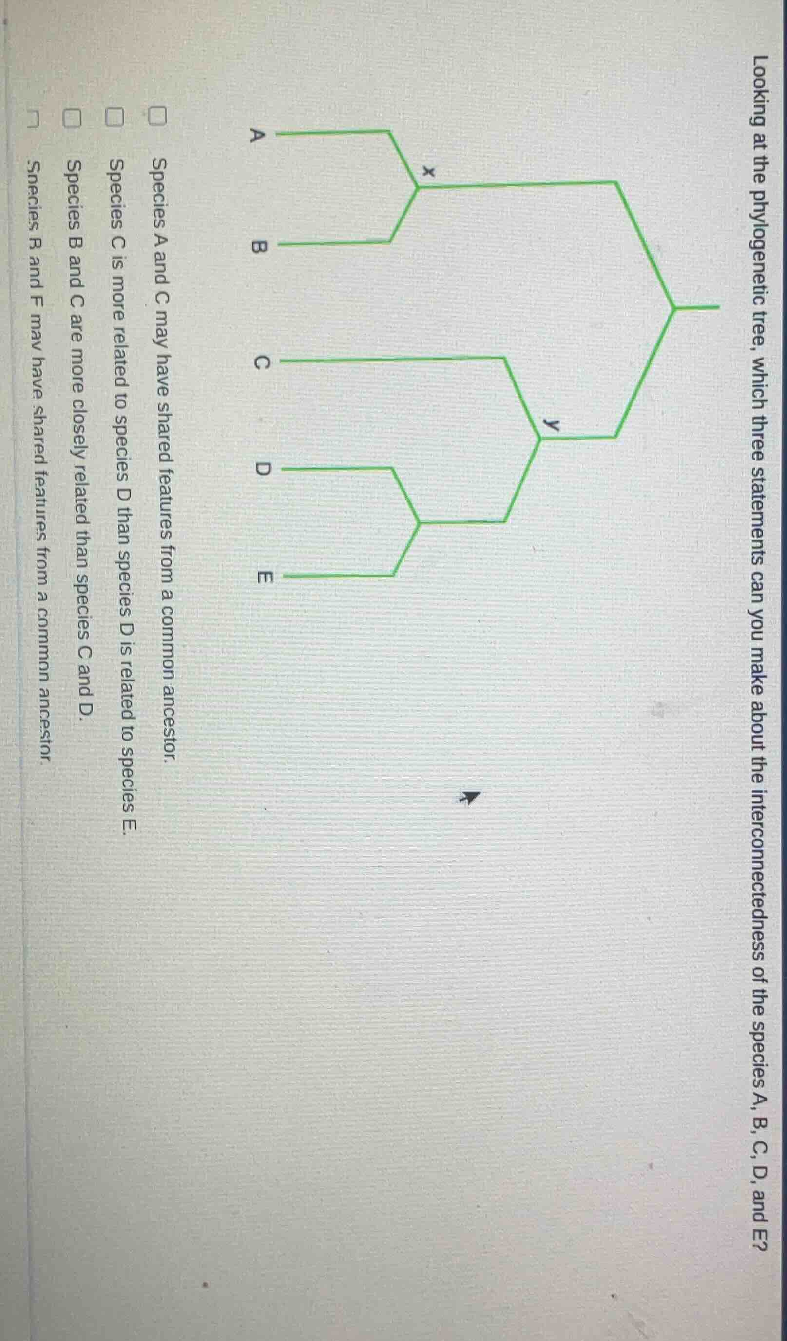 looking at the phylogenetic tree, which three statements can you make a…