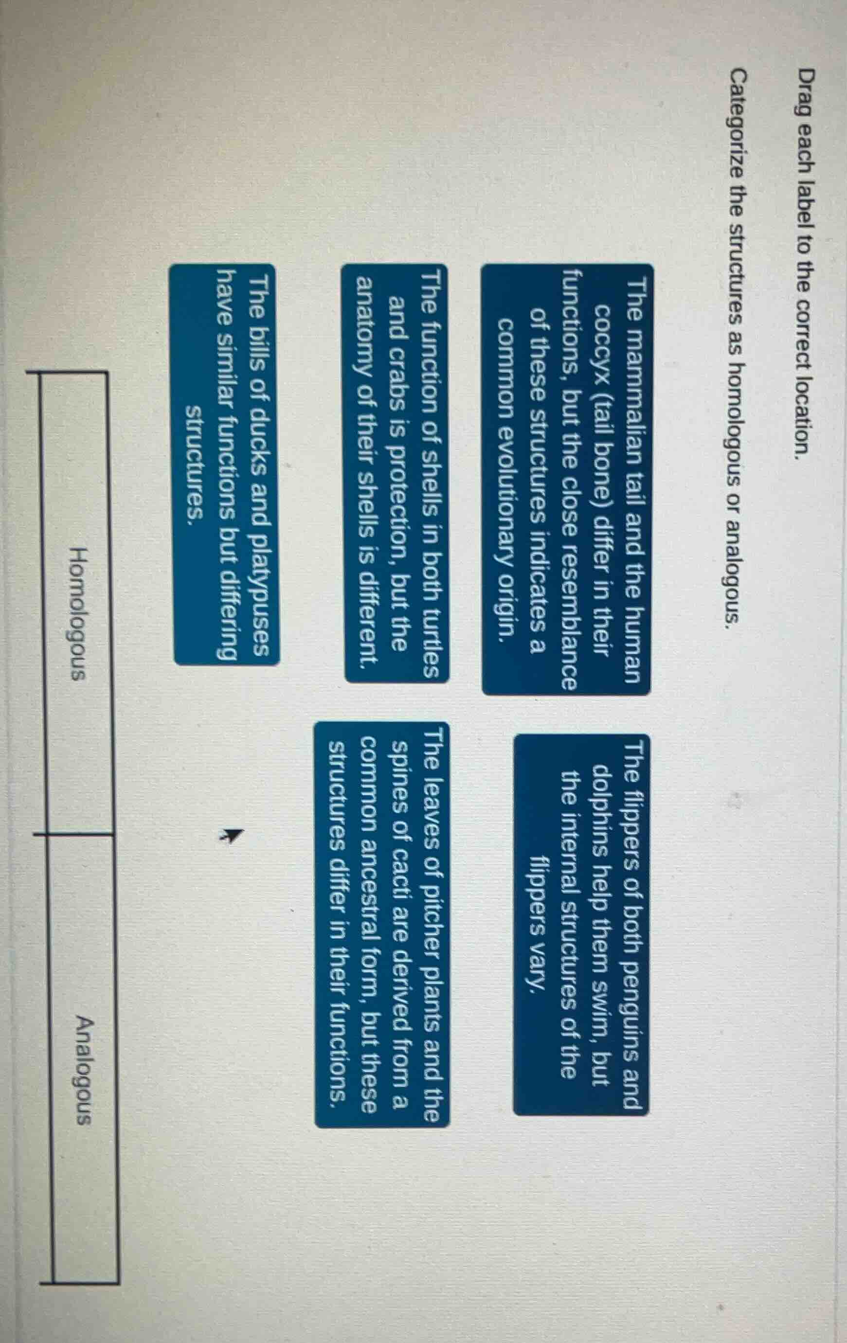 drag each label to the correct location. categorize the structures as h…