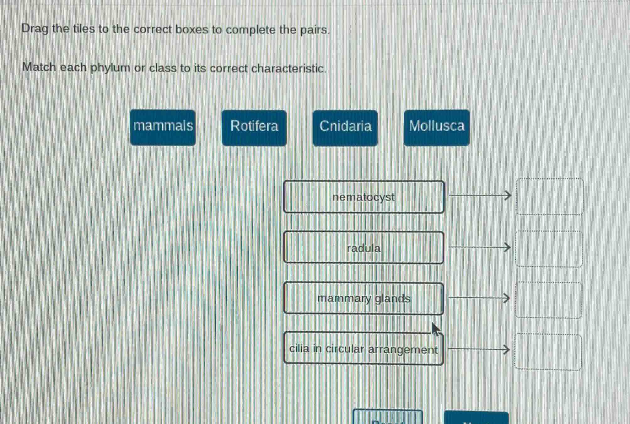 drag the tiles to the correct boxes to complete the pairs. match each p…