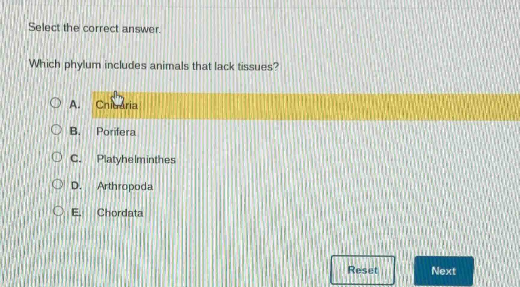 select the correct answer. which phylum includes animals that lack tiss…