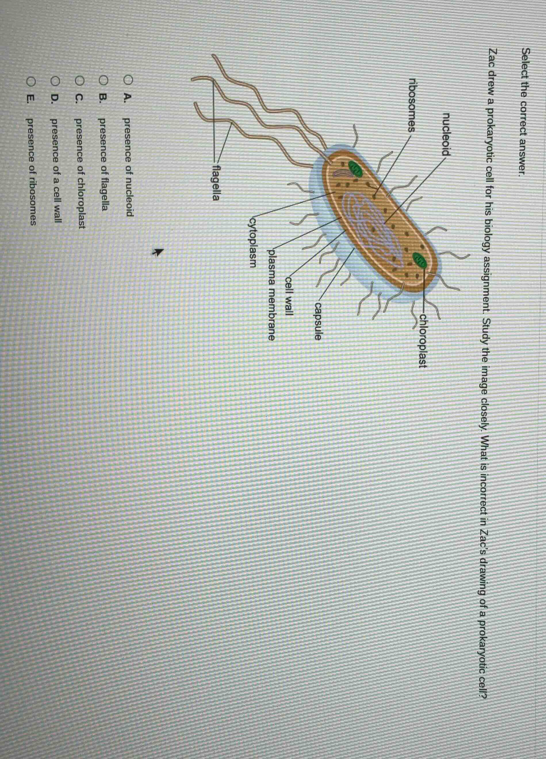 select the correct answer. zac drew a prokaryotic cell for his biology …