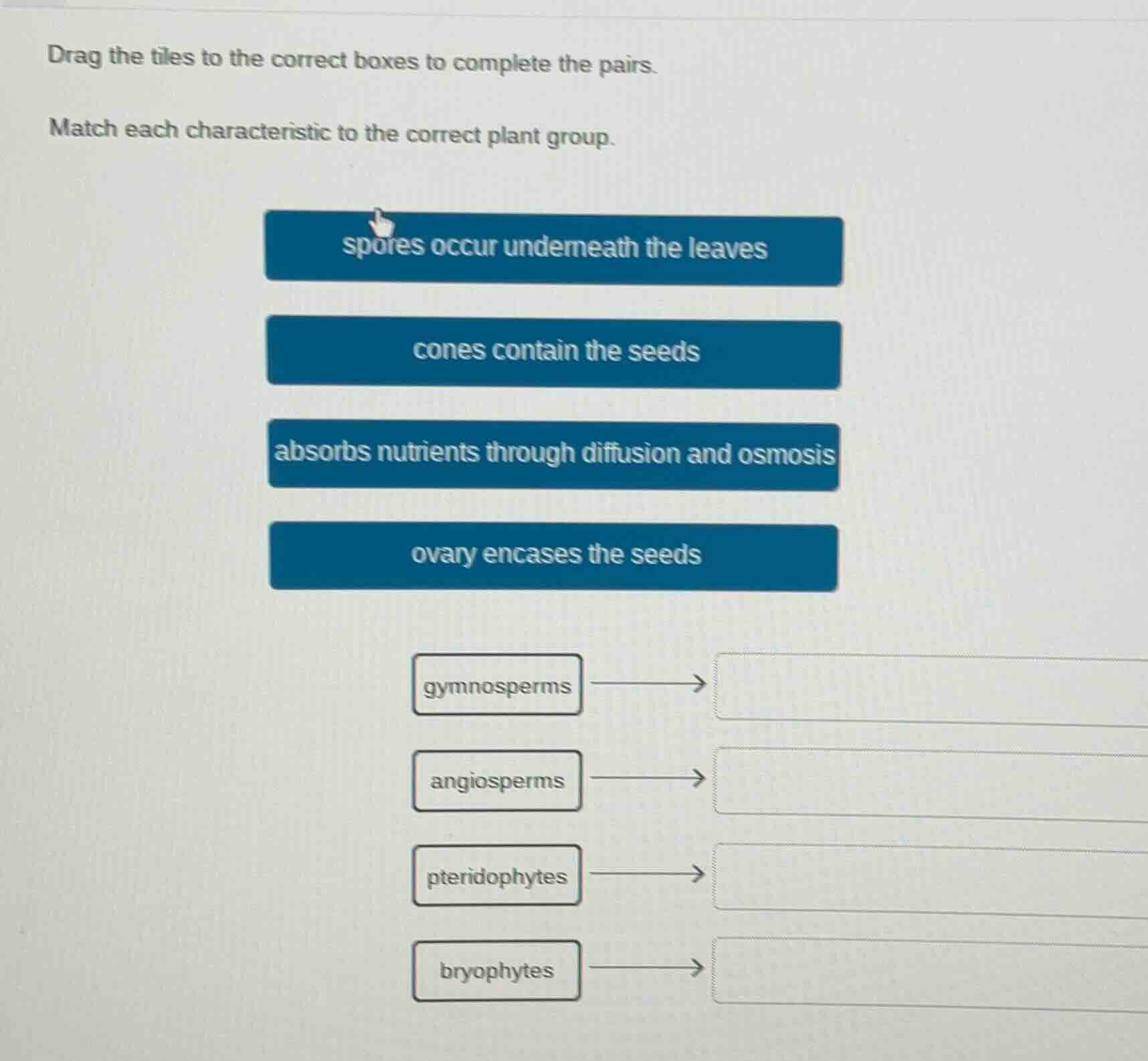 drag the tiles to the correct boxes to complete the pairs. match each c…