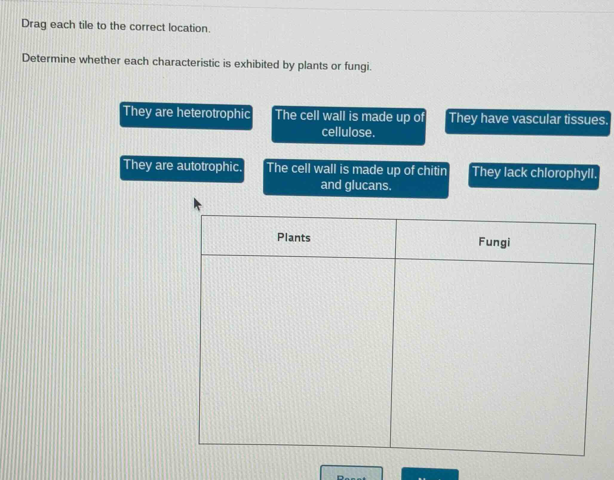 drag each tile to the correct location. determine whether each characte…