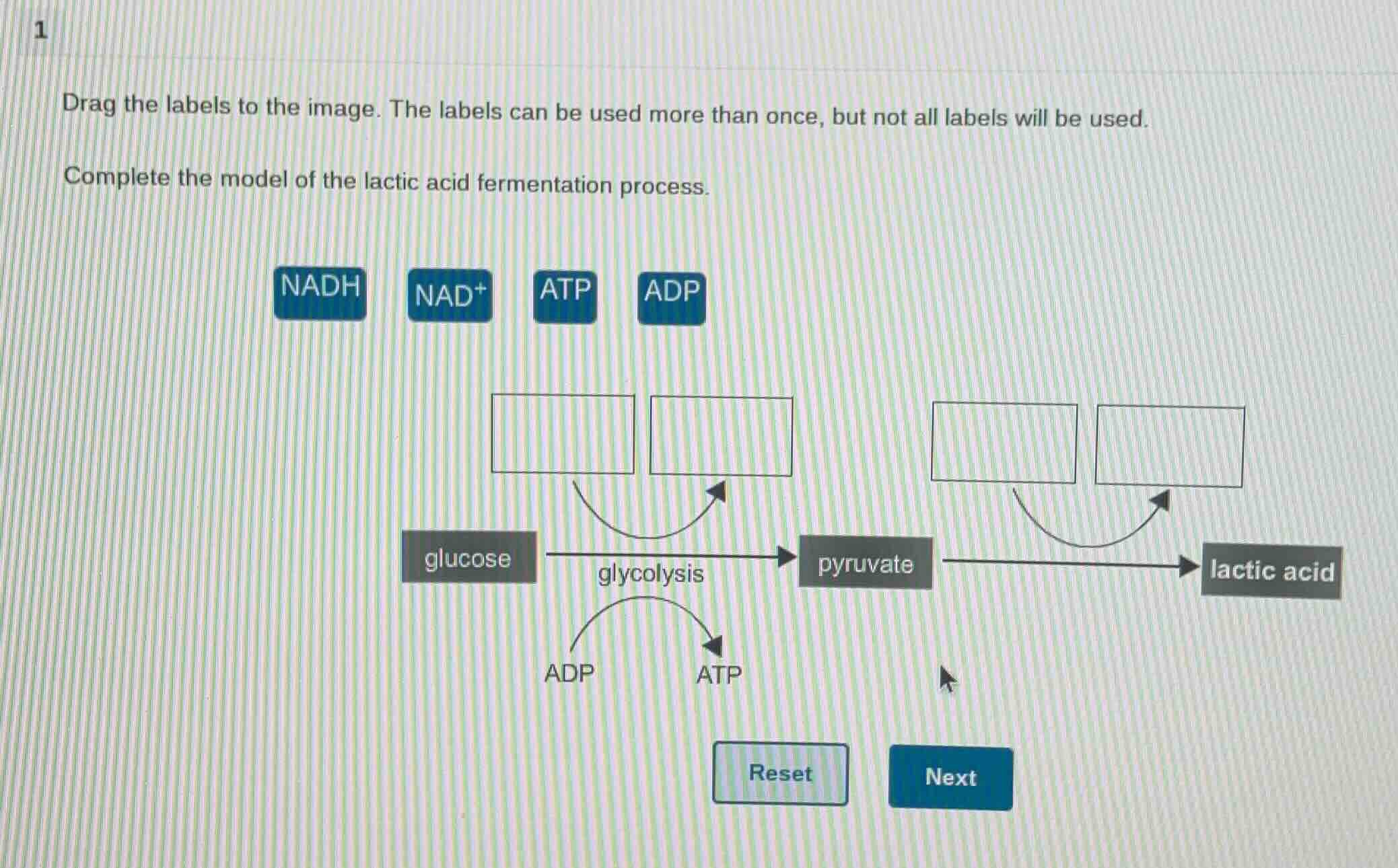 drag the labels to the image. the labels can be used more than once, bu…