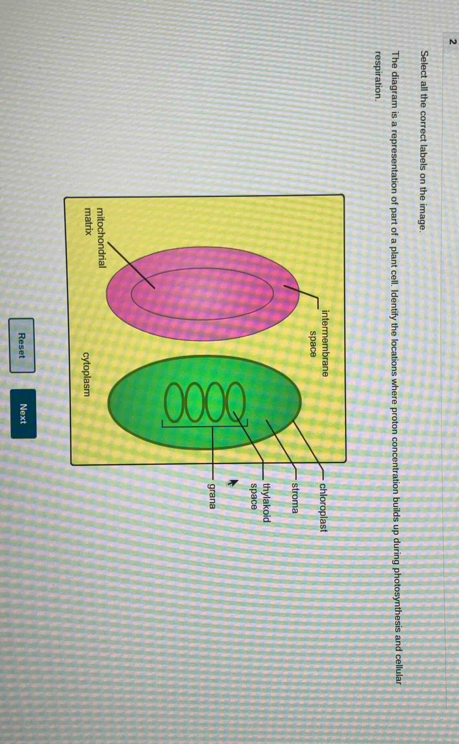 select all the correct labels on the image. the diagram is a representa…