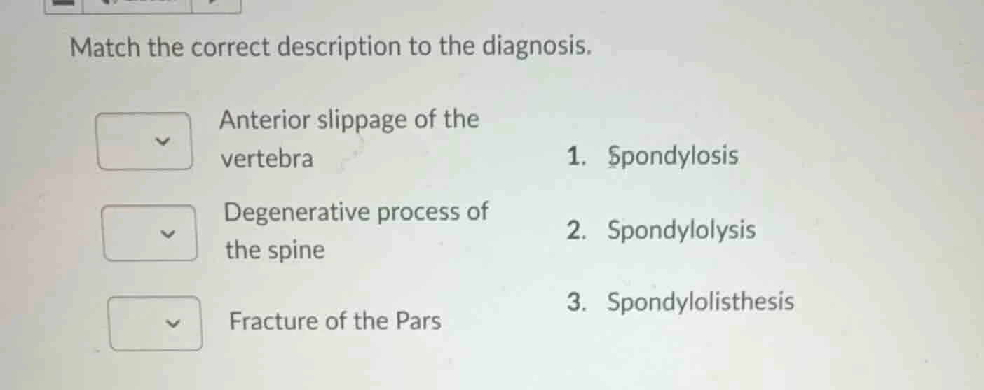 match the correct description to the diagnosis. anterior slippage of th…