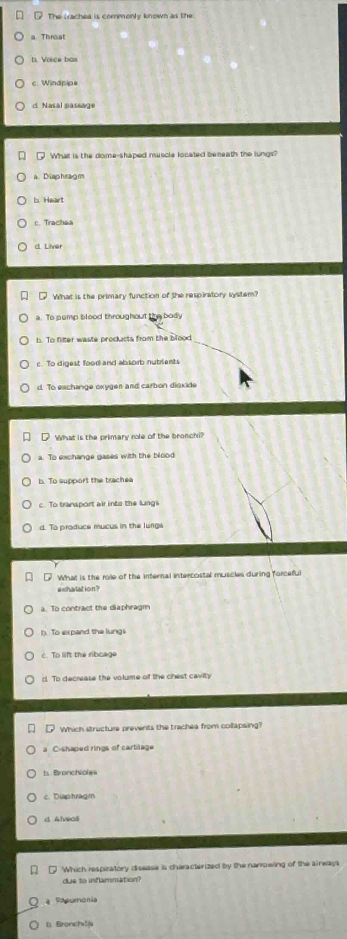 1. the trachea is commonly known as the a. throat b. voice box c. windp…