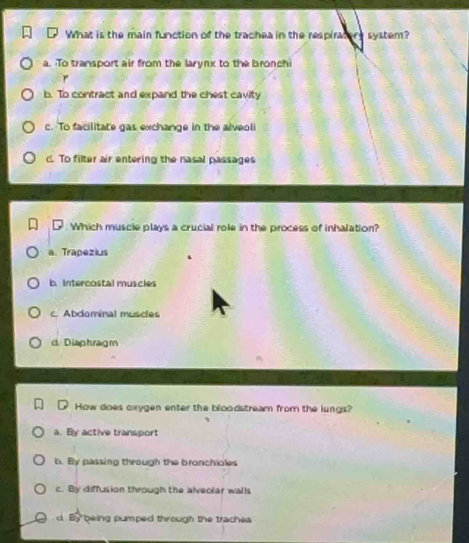 what is the main function of the trachea in the respiratory system? a. …