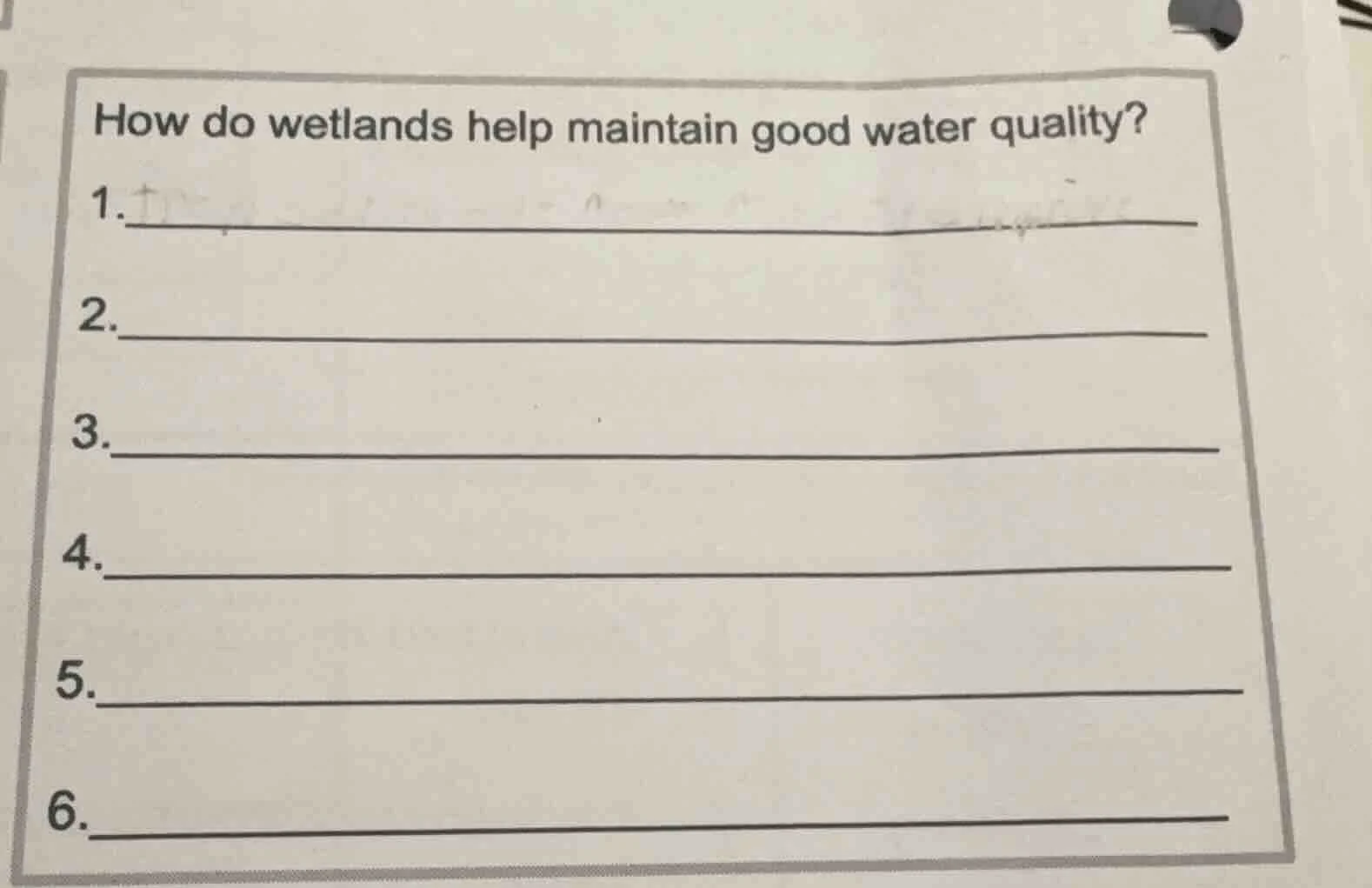 how do wetlands help maintain good water quality? 1. 2. 3. 4. 5. 6.
