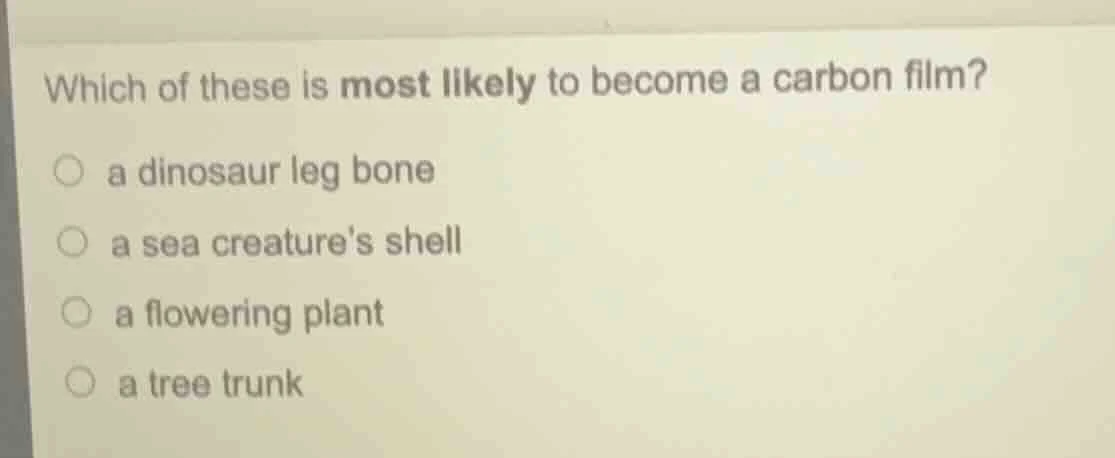 which of these is most likely to become a carbon film? a dinosaur leg b…