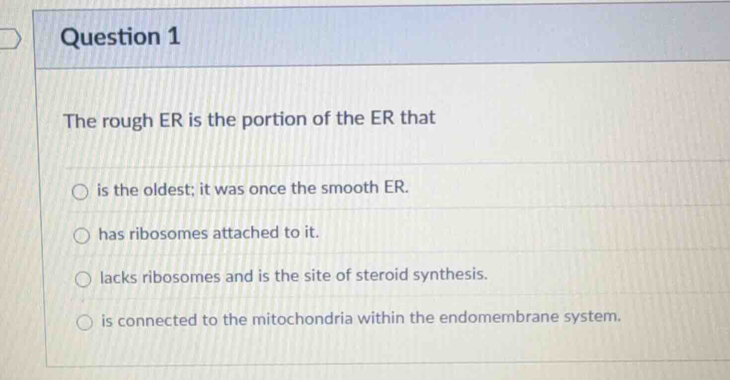 question 1 the rough er is the portion of the er that ○ is the oldest; …