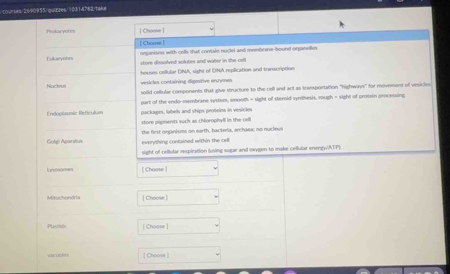 prokaryotes choose eukaryotes choose organisms with cells that contain …