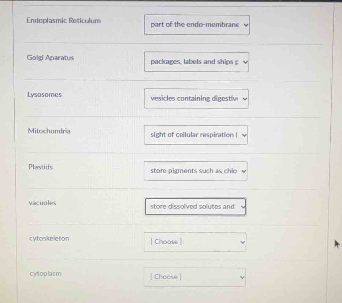 endoplasmic reticulum part of the endo - membrane golgi apparatus packa…