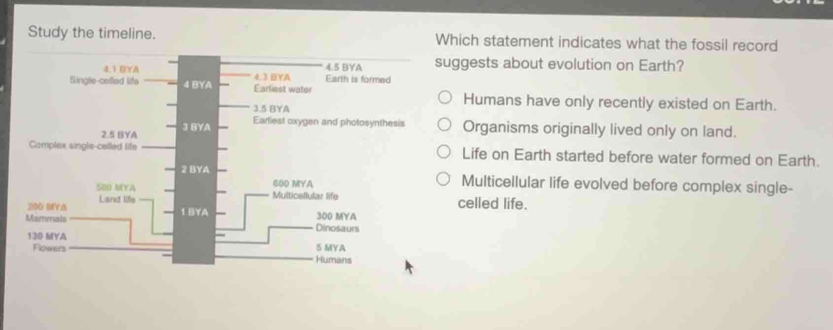 study the timeline. which statement indicates what the fossil record su…