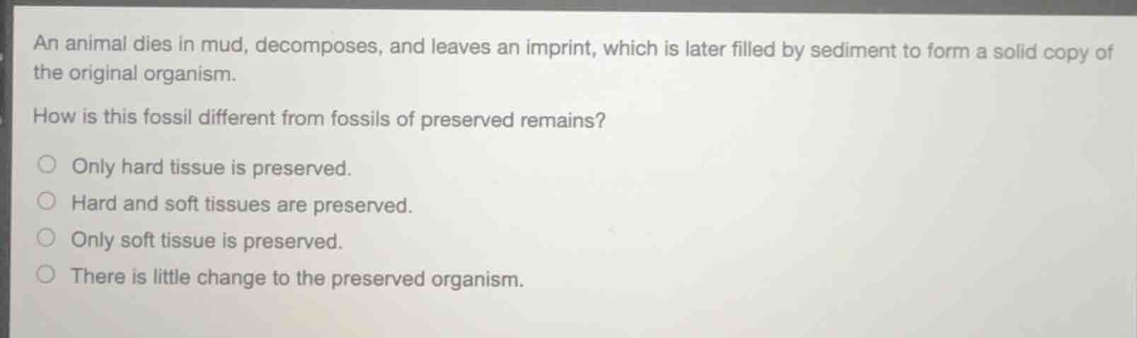 an animal dies in mud, decomposes, and leaves an imprint, which is late…