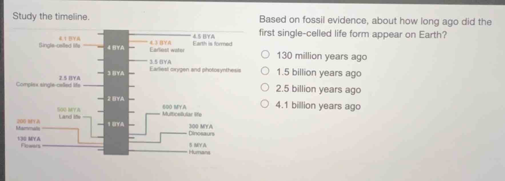 study the timeline. based on fossil evidence, about how long ago did th…
